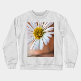 Daisies Crewneck Sweatshirt